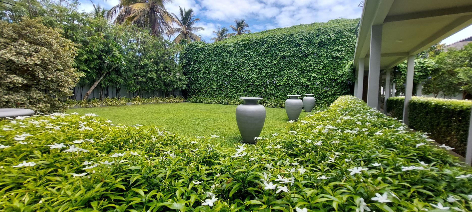 Sun Terrace